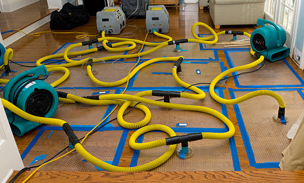 Professional Sewage Cleanup technician working in Burbank, SD